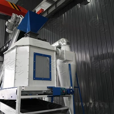 Intera linea di produzione di pellet per biomassa